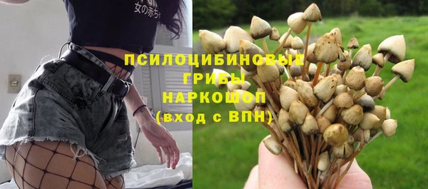спиды Алексеевка