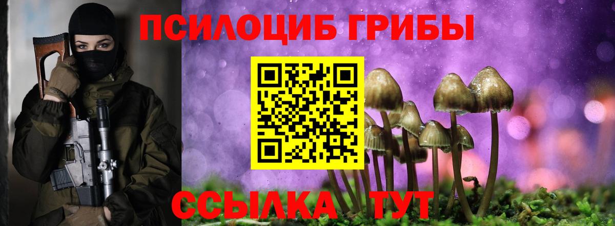 Псилоцибиновые грибы мухоморы  Псилоцибиновые грибы Cubensis  где продают наркотики  Вход с VPN  Калининград 